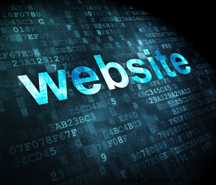 Website Development Services